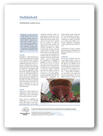 Vedlikehold undervanns